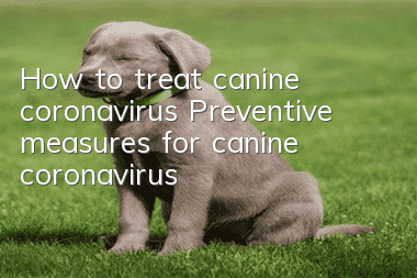 How to treat canine coronavirus Preventive measures for canine coronavirus
