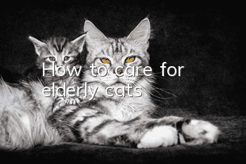 How to care for elderly cats?