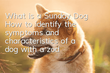 What is a Sunday Dog? How to identify the symptoms and characteristics of a dog with a zodiac sign?