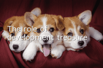 The role of development treasure