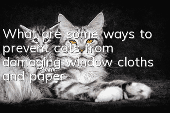 What are some ways to prevent cats from damaging window cloths and paper?