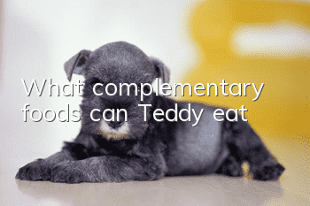What complementary foods can Teddy eat?