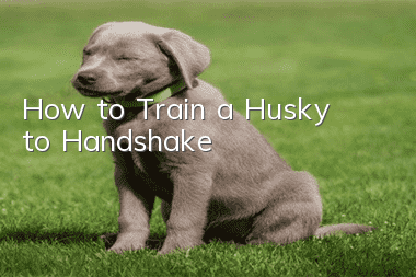 How to Train a Husky to Handshake