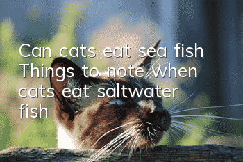 Can cats eat sea fish? Things to note when cats eat saltwater fish