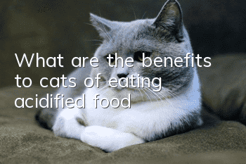 What are the benefits to cats of eating acidified food?