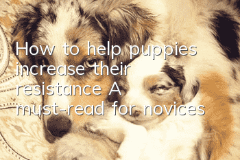 How to help puppies increase their resistance? A must-read for novices!