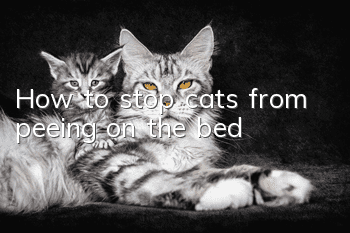How to stop cats from peeing on the bed?