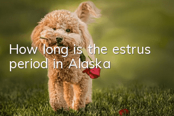 How long is the estrus period in Alaska?