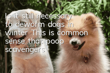 Is it still necessary to deworm dogs in winter? This is common sense that poop scavengers must understand!