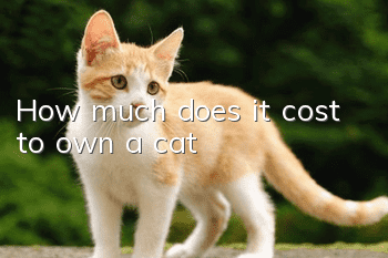 How much does it cost to own a cat