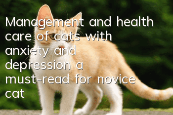 Management and health care of cats with anxiety and depression, a must-read for novice cat owners!