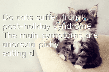 Do cats suffer from post-holiday syndrome? The main symptoms are anorexia, picky eating, depression, etc.