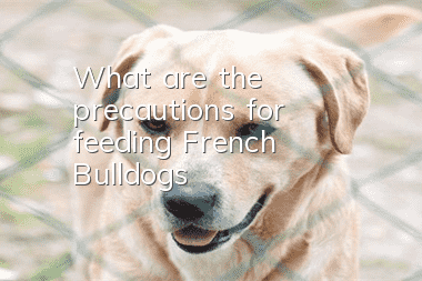 What are the precautions for feeding French Bulldogs?