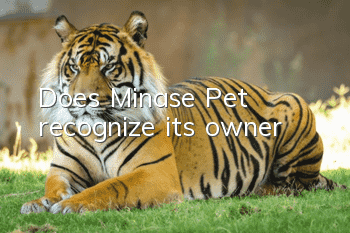 Does Minase Pet recognize its owner?