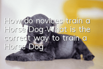 How do novices train a Horse Dog? What is the correct way to train a Horse Dog?