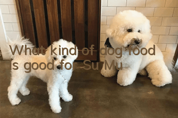 What kind of dog food is good for Su Mu?