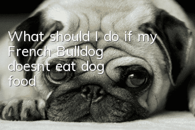 What should I do if my French Bulldog doesn't eat dog food?