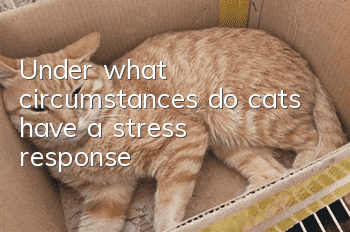 Under what circumstances do cats have a stress response?