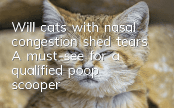 Will cats with nasal congestion shed tears? A must-see for a qualified poop scooper!