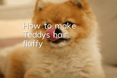 How to make Teddy's hair fluffy