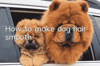 How to make dog hair smooth