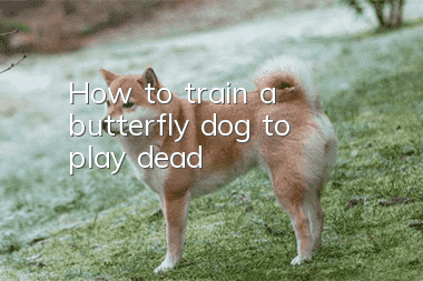 How to train a butterfly dog to play dead