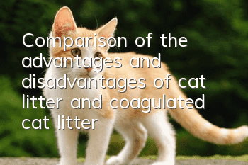 Comparison of the advantages and disadvantages of cat litter and coagulated cat litter