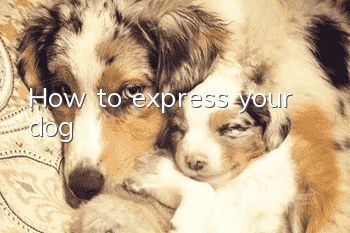 How to express your dog