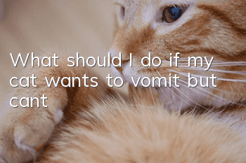 What should I do if my cat wants to vomit but can’t?