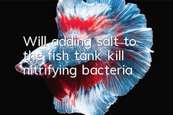 Will adding salt to the fish tank kill nitrifying bacteria?