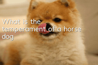 What is the temperament of a horse dog?