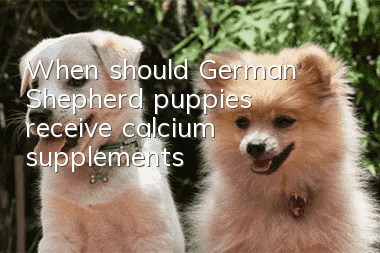 When should German Shepherd puppies receive calcium supplements?