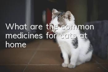 What are the common medicines for cats at home?