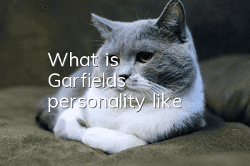 What is Garfield's personality like?