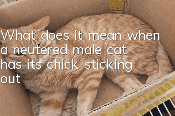 What does it mean when a neutered male cat has its chick sticking out?