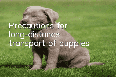 Precautions for long-distance transport of puppies