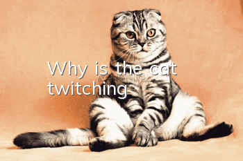 Why is the cat twitching?