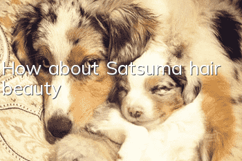 How about Satsuma hair beauty?