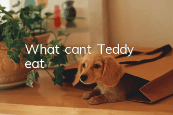 What can't Teddy eat?