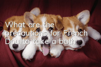 What are the precautions for French Dou to take a bath?