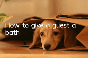 How to give a guest a bath