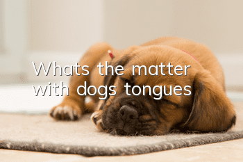 What’s the matter with dogs’ tongues?