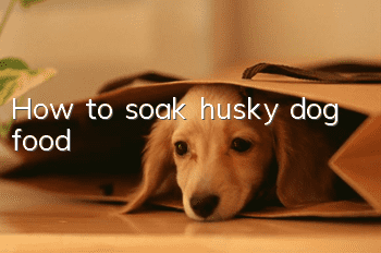 How to soak husky dog food