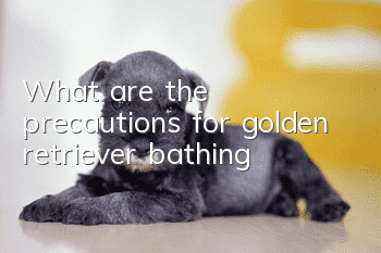 What are the precautions for golden retriever bathing?