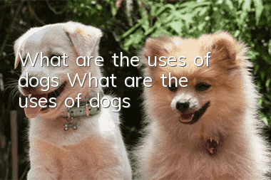 What are the uses of dogs? What are the uses of dogs?