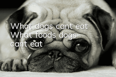 What dogs can’t eat What foods dogs can’t eat