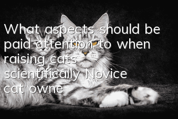 What aspects should be paid attention to when raising cats scientifically? Novice cat owners!