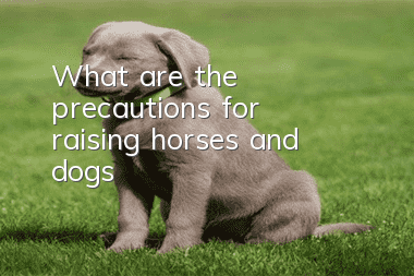What are the precautions for raising horses and dogs?