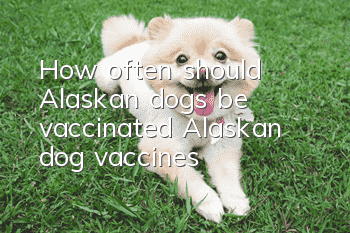 How often should Alaskan dogs be vaccinated? Alaskan dog vaccines!