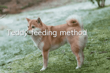 Teddy feeding method